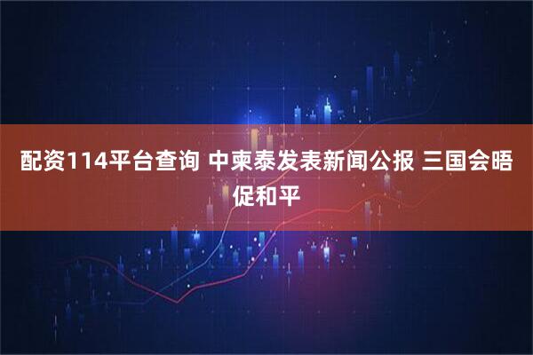 配资114平台查询 中柬泰发表新闻公报 三国会晤促和平